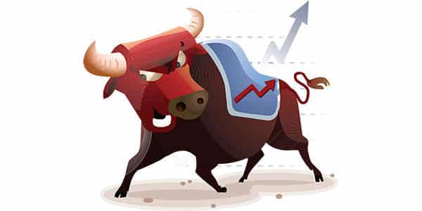 bull media