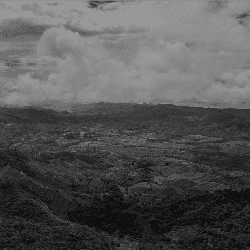 gallery-rainforest-Mamoni-Preserve-1