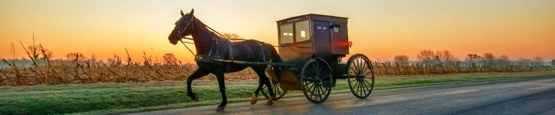 The Brief History of Cargo Transportation